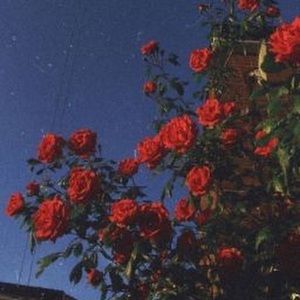 Meet your Posher, Esme